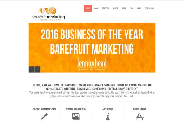 Site using Brankic Social Media Widget plugin