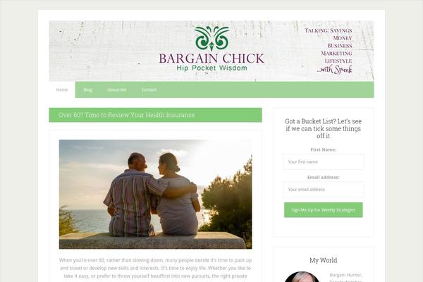 Lifestyle Pro theme site design template sample