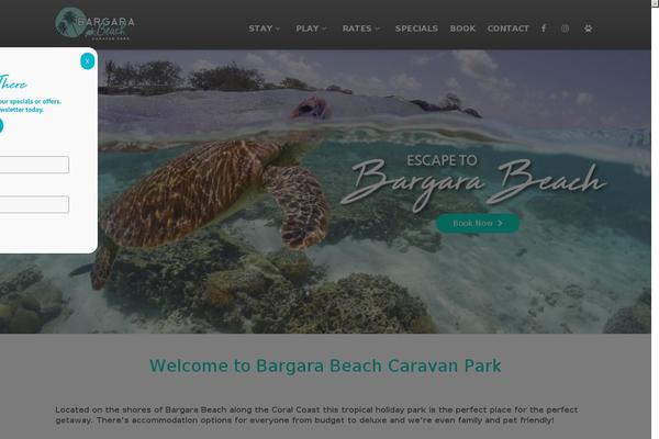 Bluediamond-v1-10 theme site design template sample
