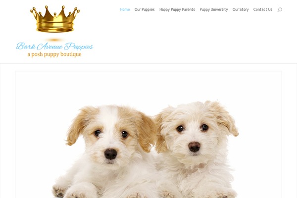Site using Divi-pixel plugin