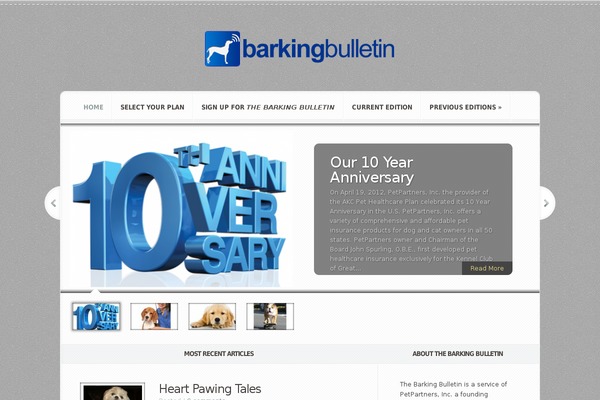 Aggregate theme site design template sample