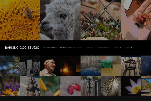 Lookbook theme site design template sample