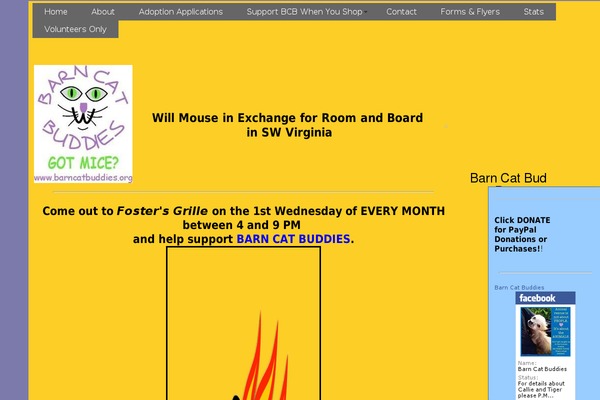 barncatbuddies.org site used Fosters