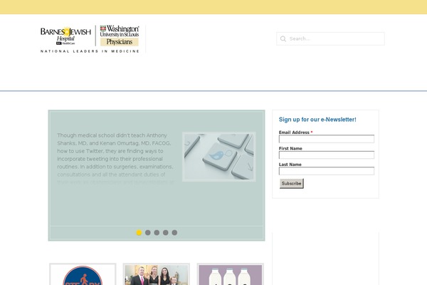 WP-Prosper theme site design template sample