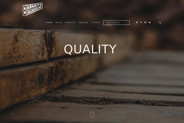 Salient-child-theme theme site design template sample