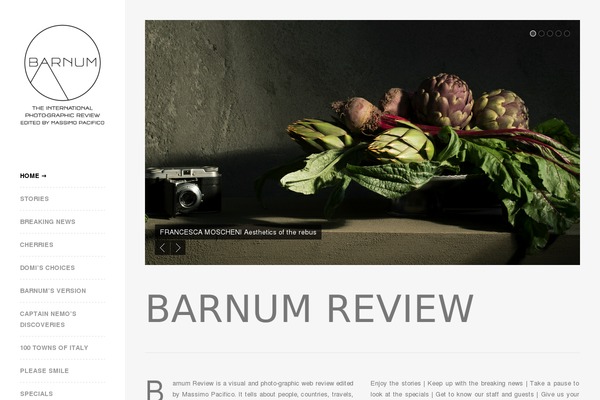 Raw theme site design template sample