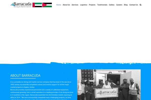 barracudaservice.com site used Icpanel