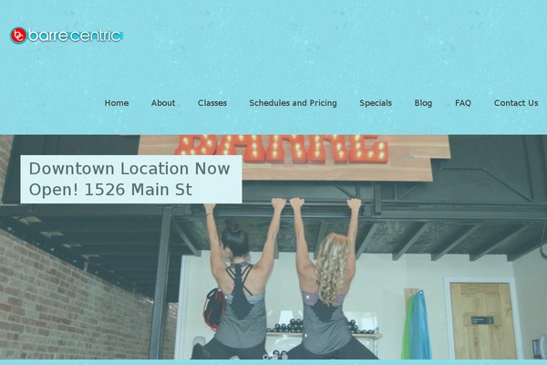 Baylys theme site design template sample