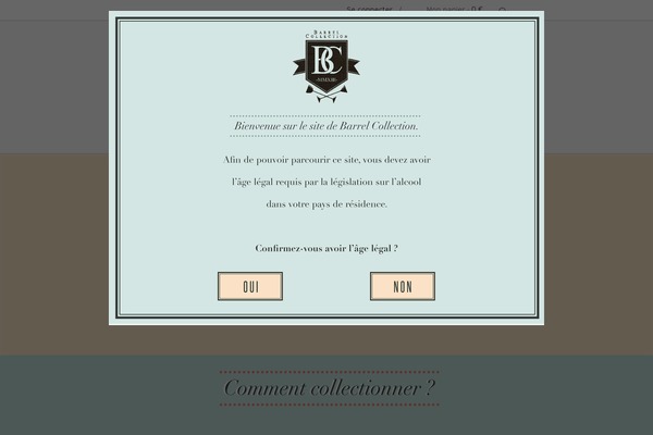 Idstore theme site design template sample