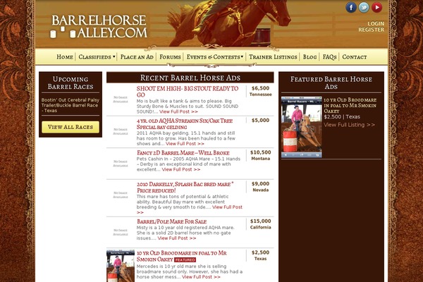 Classifiedstheme theme site design template sample