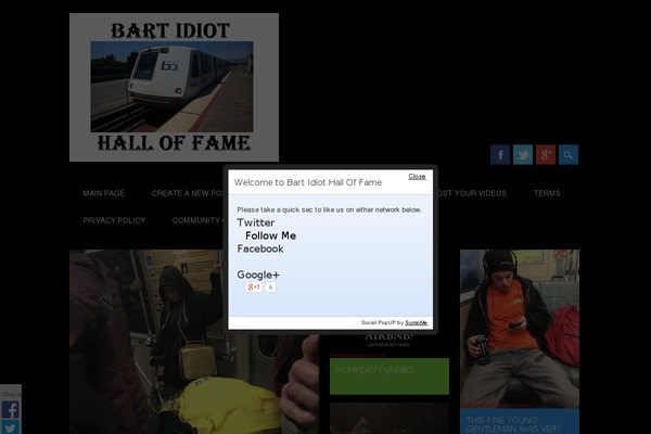 Surfarama theme site design template sample