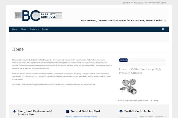 Incentive theme site design template sample
