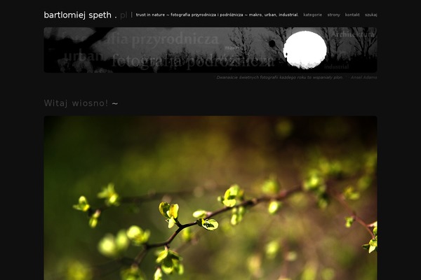 Fullscreen theme site design template sample