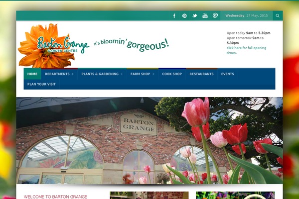Astra Child theme site design template sample