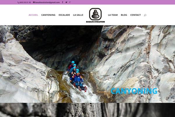 Divi theme site design template sample