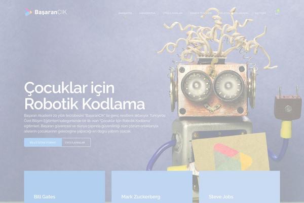 basarancik.com site used Ambersix