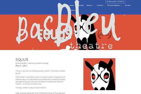 Site using Wp-social plugin