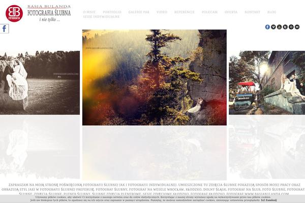 Core theme site design template sample