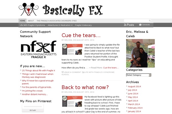 Atahualpa353 theme site design template sample