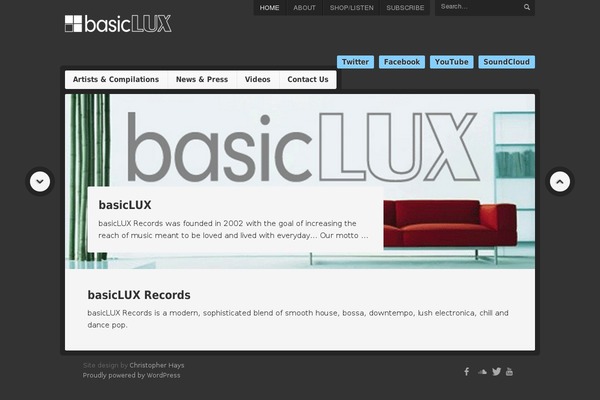 Debut theme site design template sample