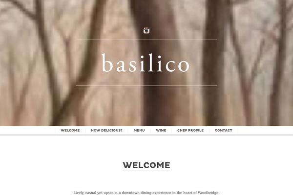 Scrn theme site design template sample