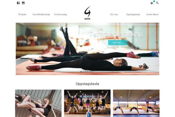 Pinnacle Premium theme site design template sample