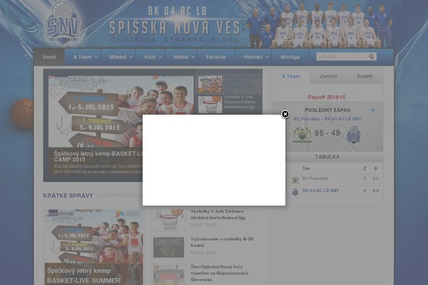 Basket theme site design template sample