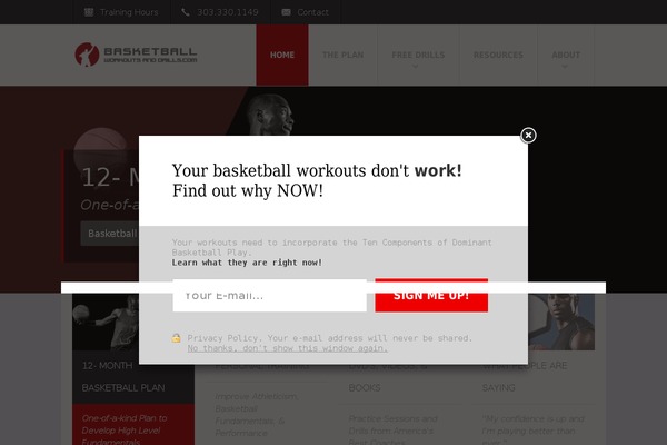 Fit Wp theme site design template sample