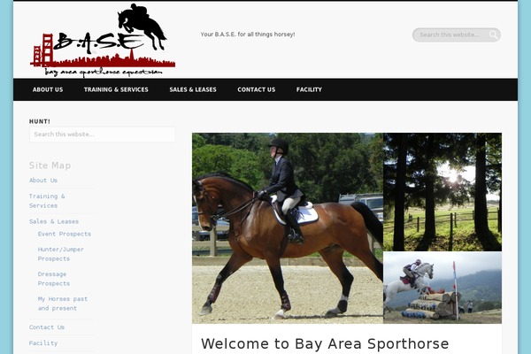 Pinboard theme site design template sample