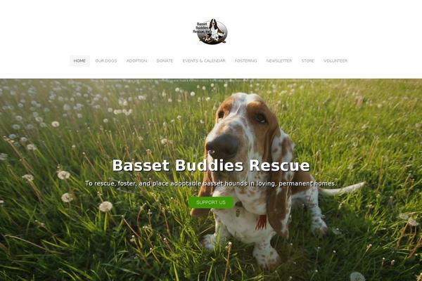 bbr theme websites examples