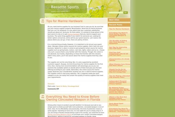 bassette.info site used Lime Slice