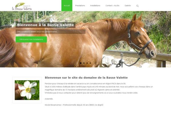 i-max theme site design template sample