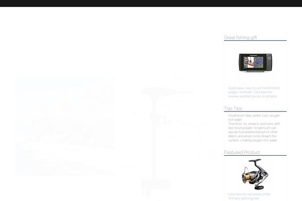 Site using Divi-footer-editor plugin