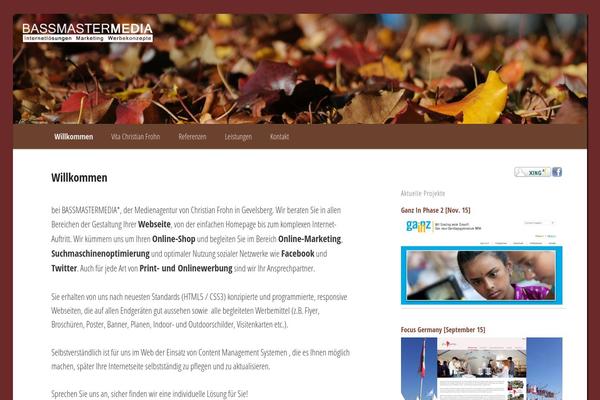 Site using Category Posts Widget plugin