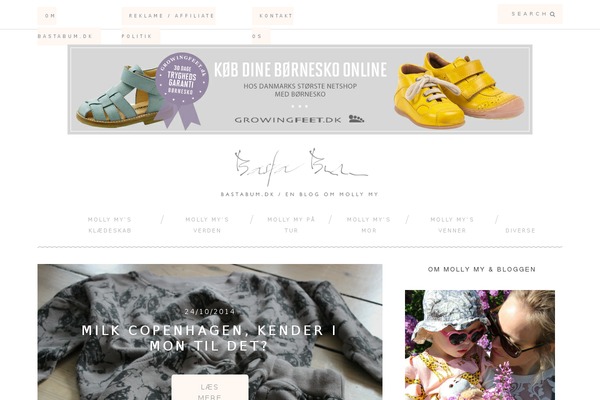 Bd-oneclick-premium theme site design template sample