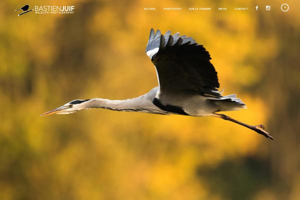 Darkroom theme site design template sample