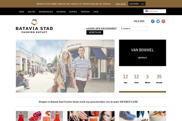 batavia theme websites examples