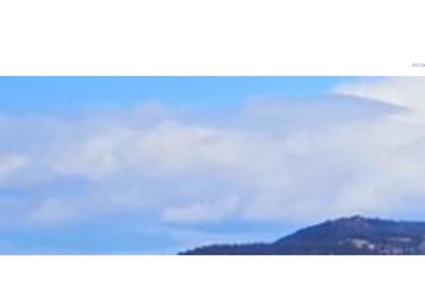 Site using Elements-plus plugin