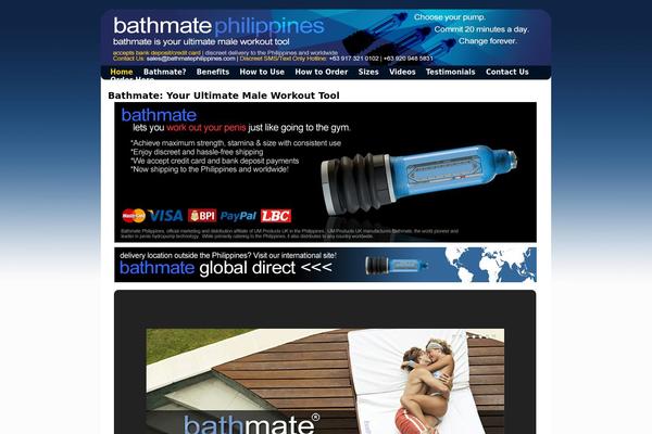 Smallbiz theme site design template sample