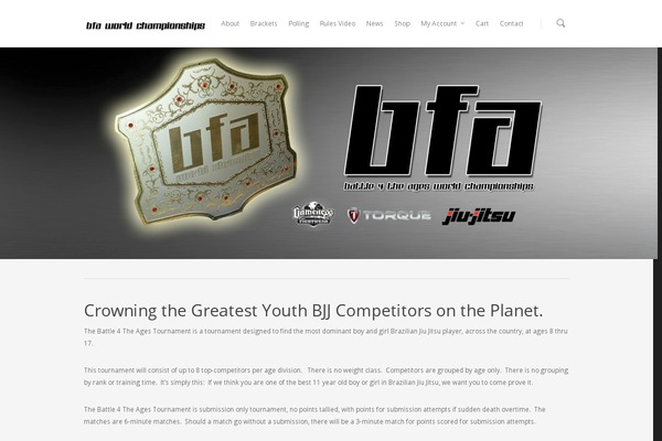 Bfa theme site design template sample