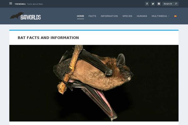 Extra theme site design template sample