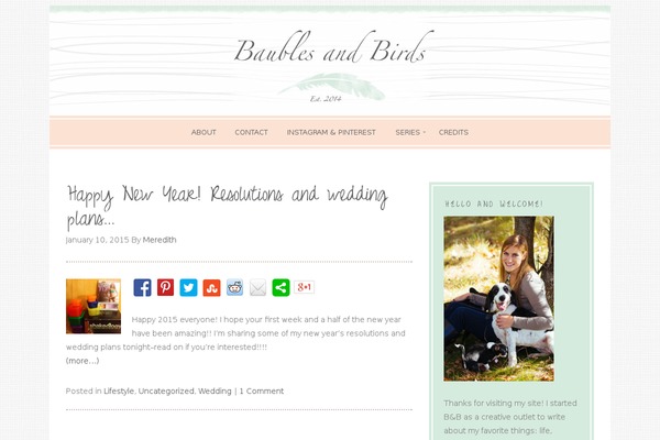 Site using Aboutimizer plugin