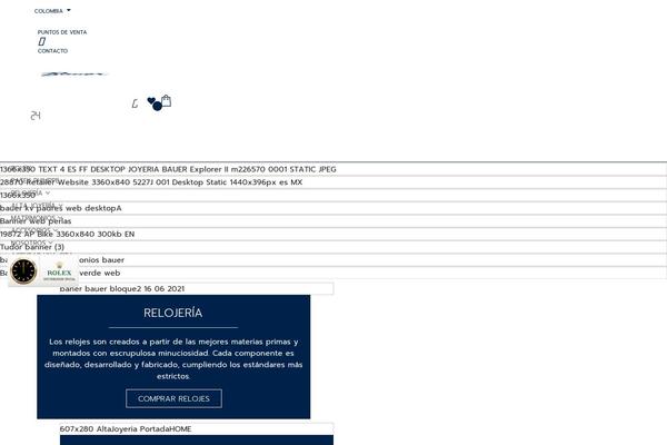 Bauer-child theme site design template sample