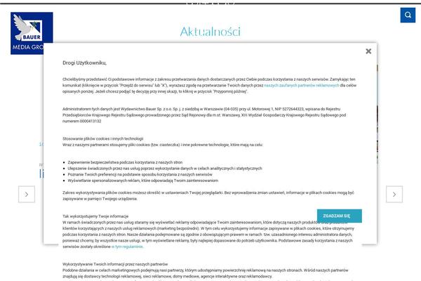Bauer theme site design template sample