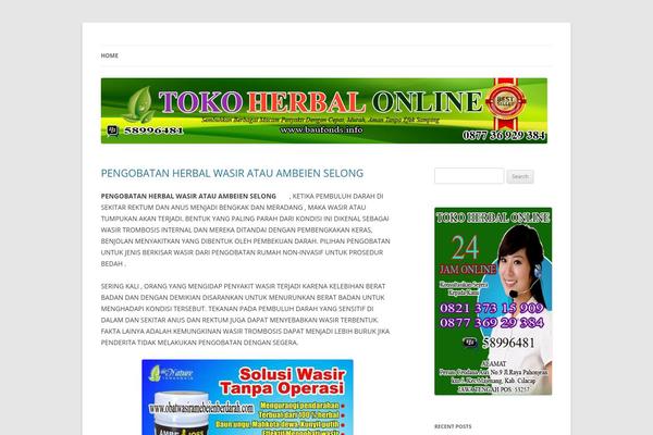 Shades of Blue theme site design template sample