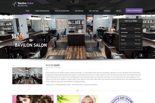 HairPress theme site design template sample