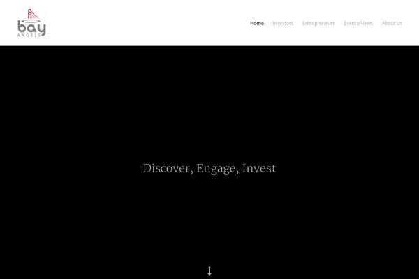 bayangels.com site used Swell