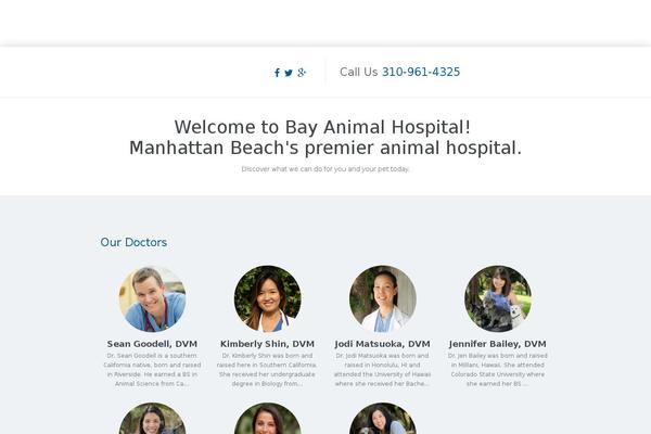 Site using Gravityformsmailchimp plugin