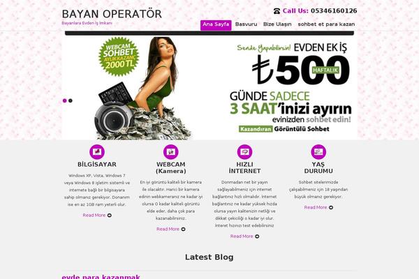 SKT IT Consultant theme site design template sample