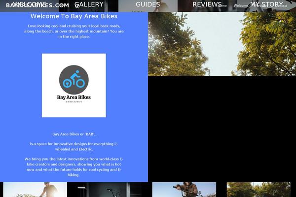 Site using Google Analytics by Yoast plugin
